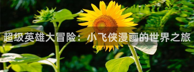 香蕉漫画在线网页